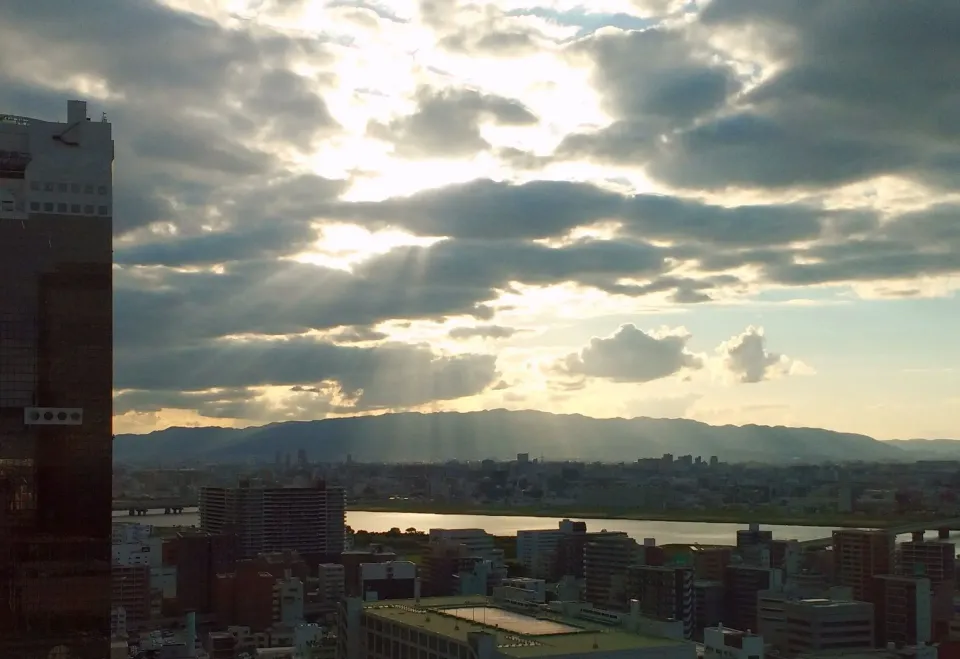 Another view of the sunbeams (same floor as Aiming - other side windows)