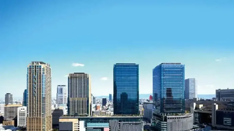 Talking Bootcamps & Freelance